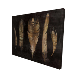Canvas 48 x 60 - 3D - Brown feather set