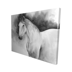 Domino le cheval