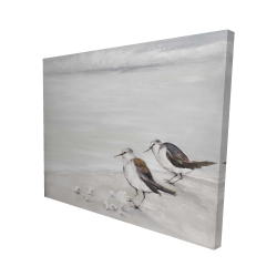 Deux oiseaux bécasseau