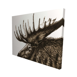 Moose plume sepia