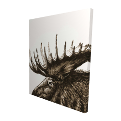 Moose plume sepia