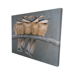 Four birds on a branch