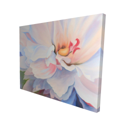 Pastel colored flower