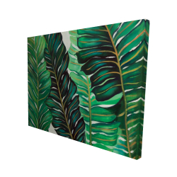 Several exotic plant leaves