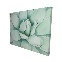 Canvas 48 x 60 - 3D - Succulent closeup