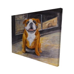 Bouledogue souriant
