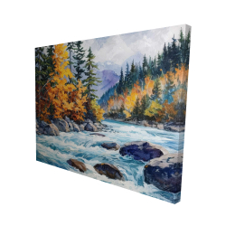 Rapids
