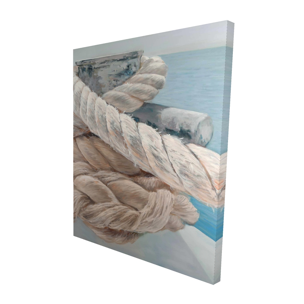 Toile 48 x 60 - 3D - Plan rapproché de cordes attachées
