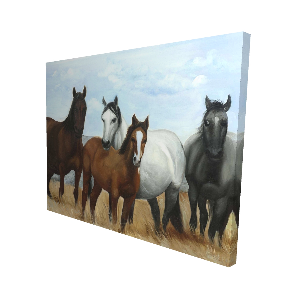 Canvas 48 x 60 - 3D - Horses in the meadow by the sun