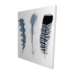 Delicate blue feathers