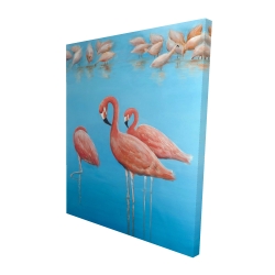Group of flamingos