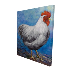 Poule grise