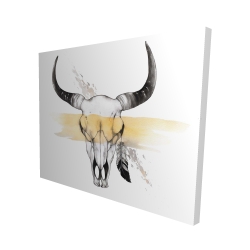 Cow skull with feather