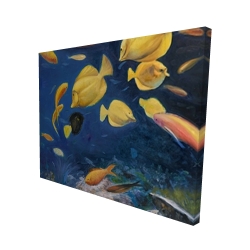 Poissons sous l'océan