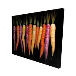 Variétés de carottes
