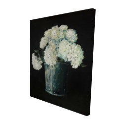 White hydrangea flowers