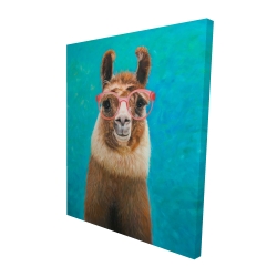 Aimable llama