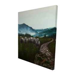Moutons à la campagne