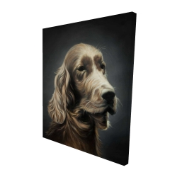 Field spaniel
