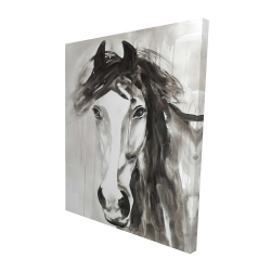 Magnifique cheval sauvage