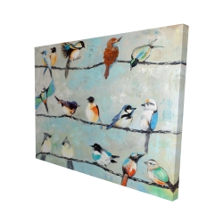 Small colorful birds