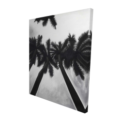 Monochrome palm trees