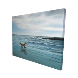 Chien à la plage