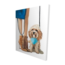 Chien cavoodle à la mode