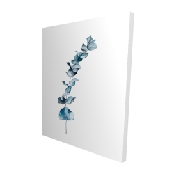 Feuilles d'eucalyptus bleu