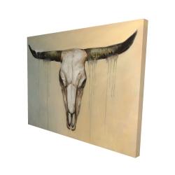 Bull skull