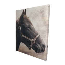 Gallopin le cheval brun