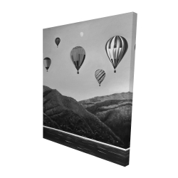 Air balloon landscape
