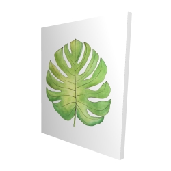 Tropical leaf