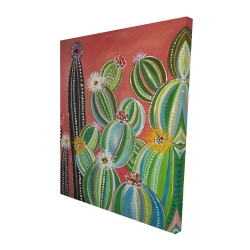 Cactus en arc-en-ciel