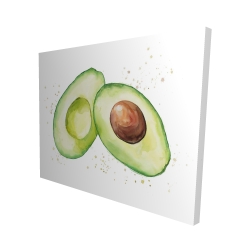 Avocat ouvert à l'aquarelle