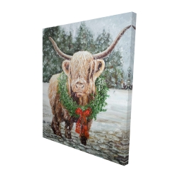 Highland christmas cow