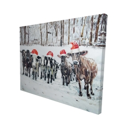 Curious christmas cows