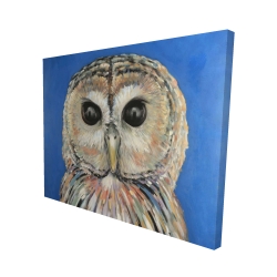 Canvas 48 x 60 - 3D - Colorful spotted owl