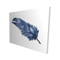 Blue feather