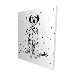 Chien dalmatien