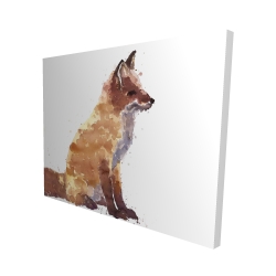 Red fox