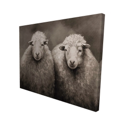 Moutons sépia