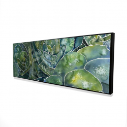 Succulents abstrait