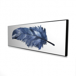 Blue feather
