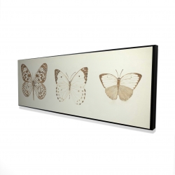 Sepia butterflies