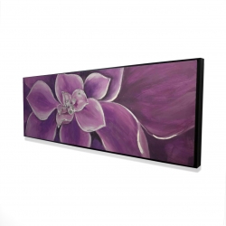 Purple flower closeup