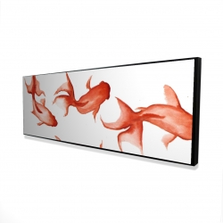 Petits poissons rouge