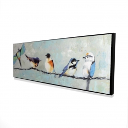 Small colorful birds