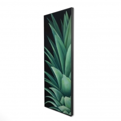 Feuilles d'ananas