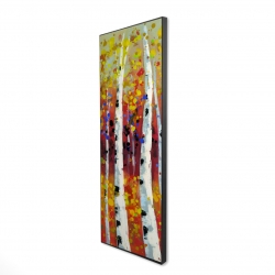 Colored birches